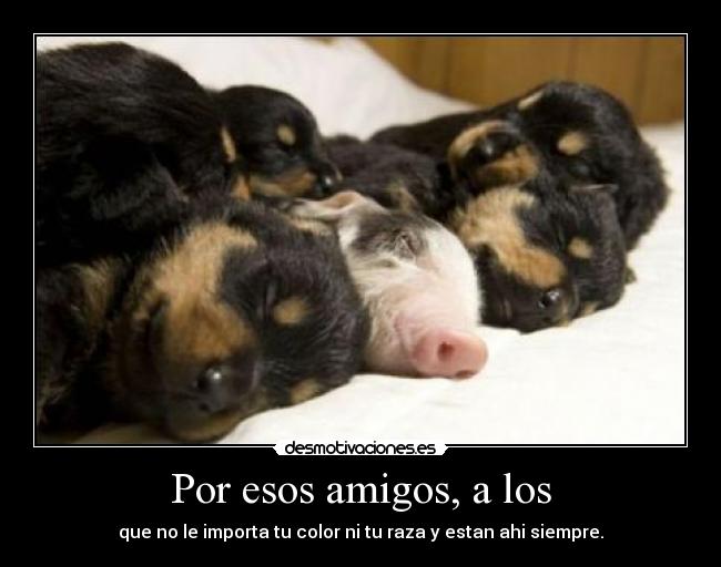 Por esos amigos, a los -