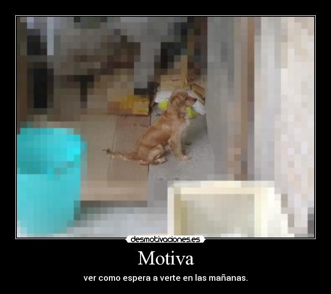 Motiva - ver como espera a verte en las mañanas.