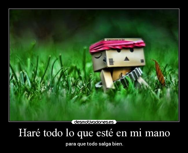 Haré todo lo que esté en mi mano - para que todo salga bien.