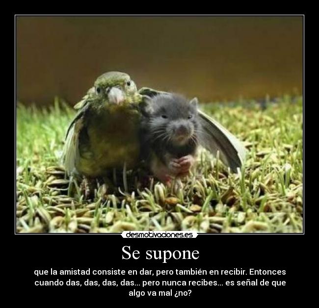 Se supone -