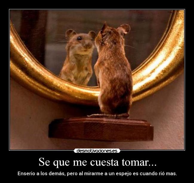 Se que me cuesta tomar... -