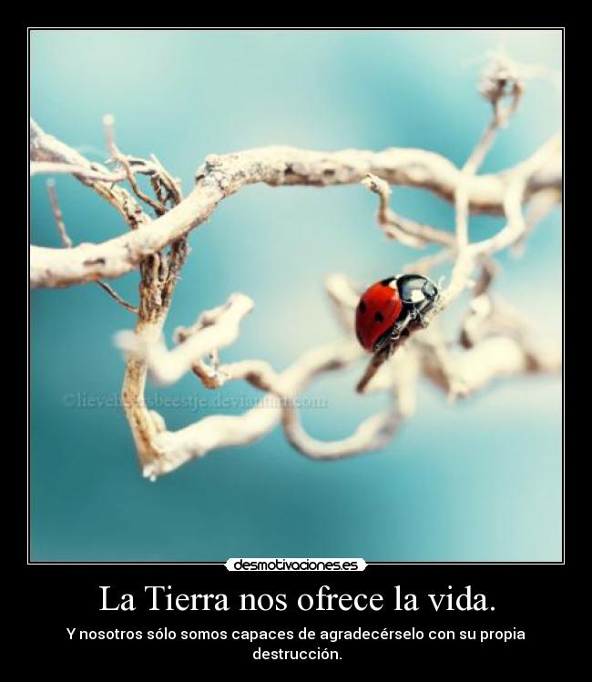 La Tierra nos ofrece la vida. - Y nosotros sólo somos capaces de agradecérselo con su propia destrucción.