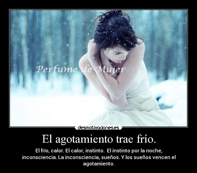 El agotamiento trae frío. - El frío, calor. El calor, instinto. El instinto por la noche,
inconsciencia. La inconsciencia, sueños. Y los sueños vencen el
agotamiento.