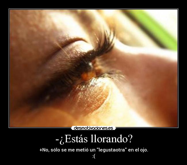 -¿Estás llorando? -
