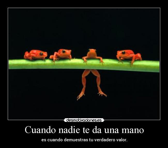 Cuando nadie te da una mano - es cuando demuestras tu verdadero valor.