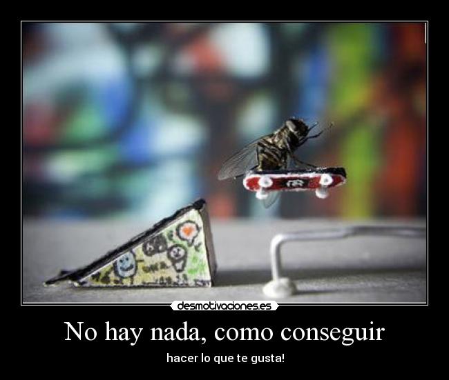 carteles skateeee desmotivaciones