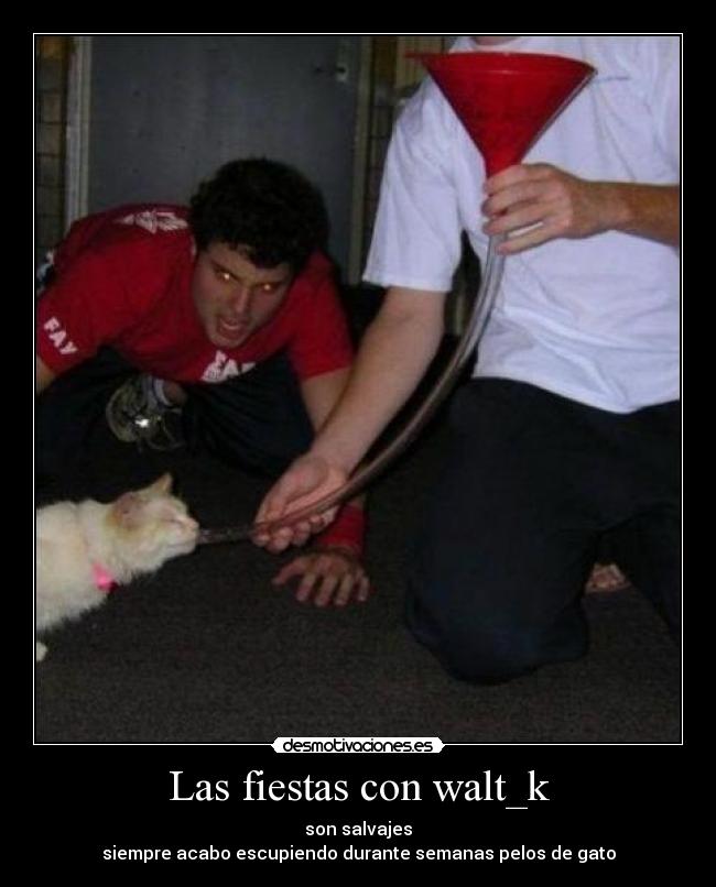 Las fiestas con walt_k - son salvajes
siempre acabo escupiendo durante semanas pelos de gato