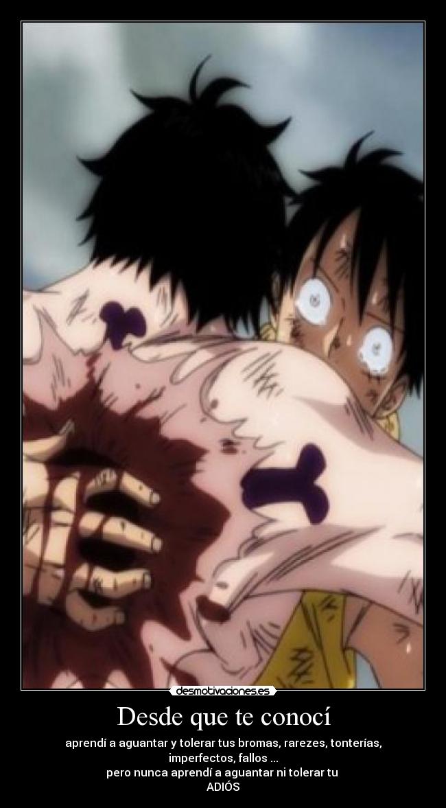Desde que te conocí - aprendí a aguantar y tolerar tus bromas, rarezes, tonterías, imperfectos, fallos ...
pero nunca aprendí a aguantar ni tolerar tu
ADIÓS
