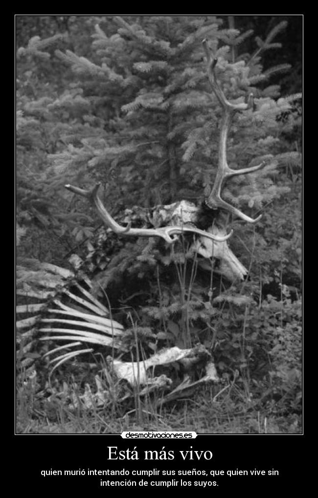 Está más vivo - quien murió intentando cumplir sus sueños, que quien vive sin
intención de cumplir los suyos.