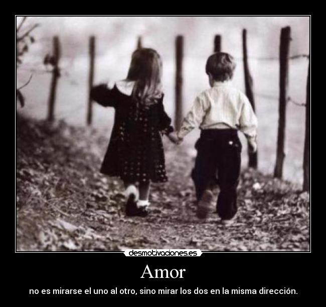 Amor -