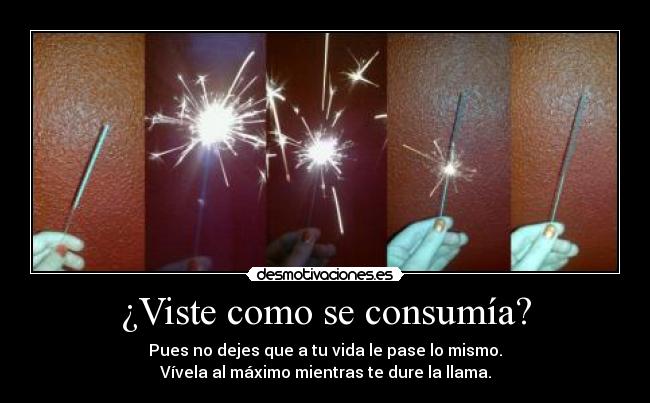 ¿Viste como se consumía? - 