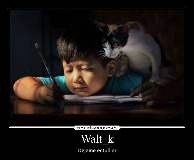Walt_k - 