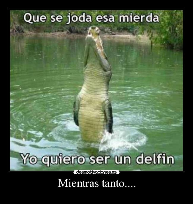 Mientras tanto.... - 