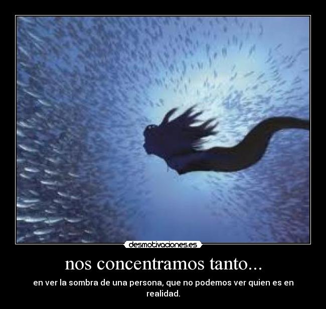 nos concentramos tanto... - en ver la sombra de una persona, que no podemos ver quien es en realidad.