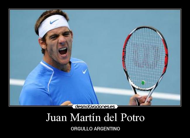 Juan Martín del Potro - 