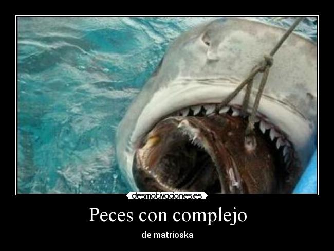 Peces con complejo - 