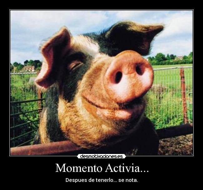 carteles activia desmotivaciones