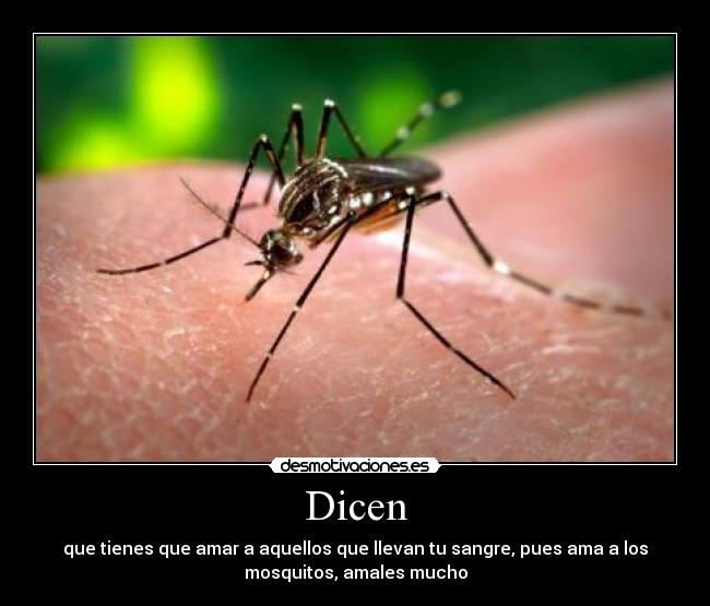 Dicen - que tienes que amar a aquellos que llevan tu sangre, pues ama a los
mosquitos, amales mucho