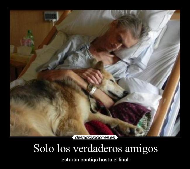 Solo los verdaderos amigos - 