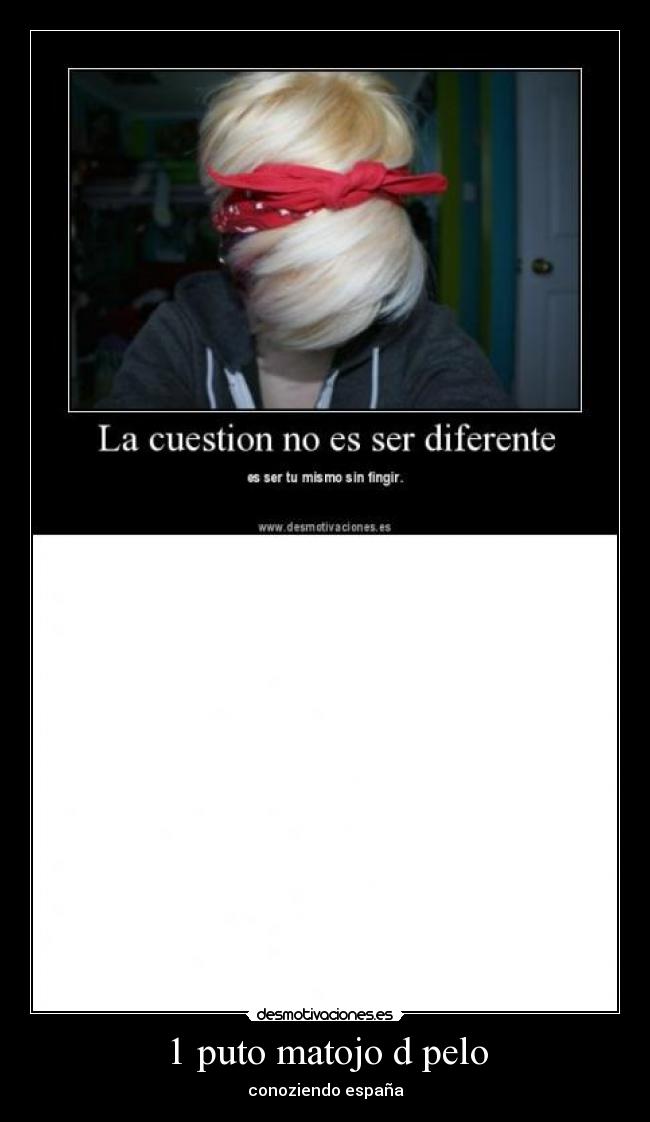 1 puto matojo d pelo -