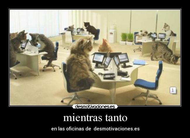 mientras tanto - en las oficinas de desmotivaciones.es