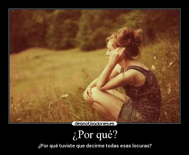 ¿Por qué? - ¿Por qué tuviste que decirme todas esas locuras?
