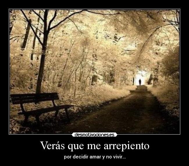 carteles arrepentir sufrir amar vivir desmotivaciones