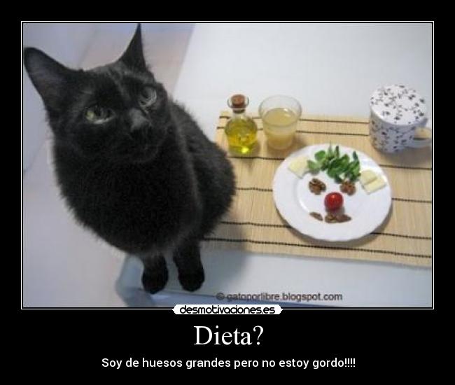 Dieta? - Soy de huesos grandes pero no estoy gordo!!!!