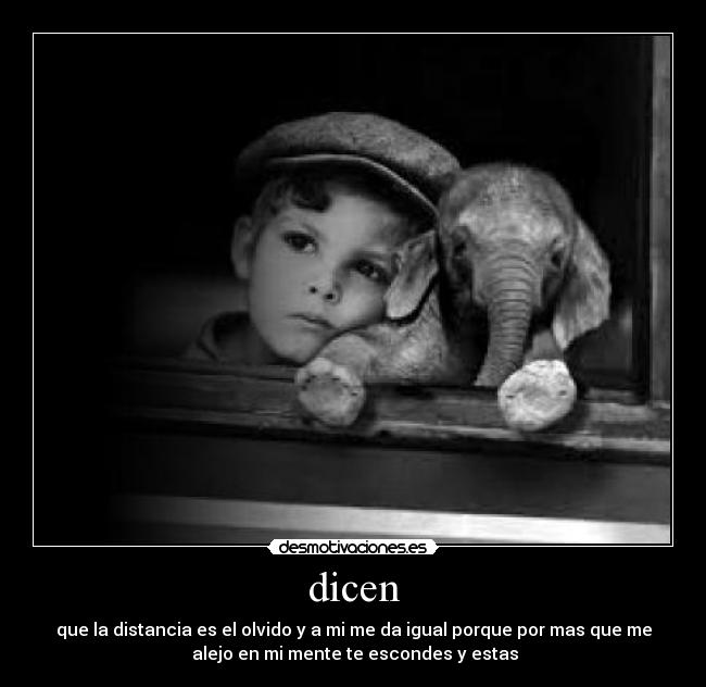 dicen - 