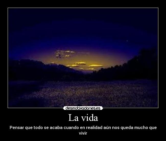 carteles vida vida desmotivaciones