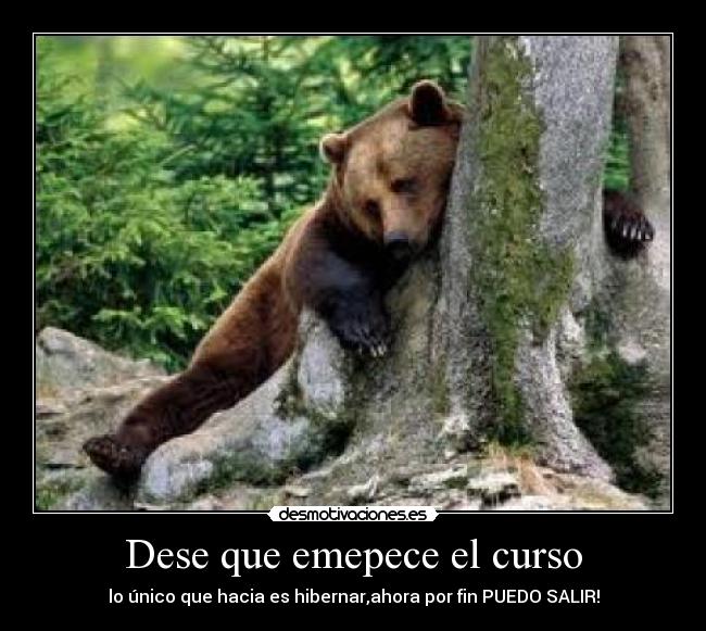 Dese que emepece el curso - 