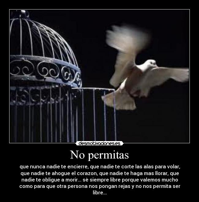 No permitas -