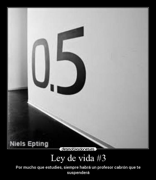 Ley de vida #3 -