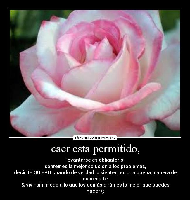 caer esta permitido, - levantarse es obligatorio,
sonreír es la mejor solución a los problemas,
decir TE QUIERO cuando de verdad lo sientes, es una buena manera de expresarte
& vivir sin miedo a lo que los demás dirán es lo mejor que puedes hacer (: