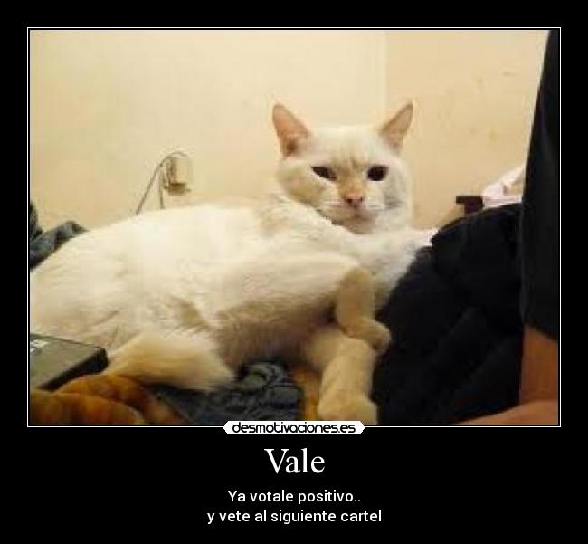Vale - 