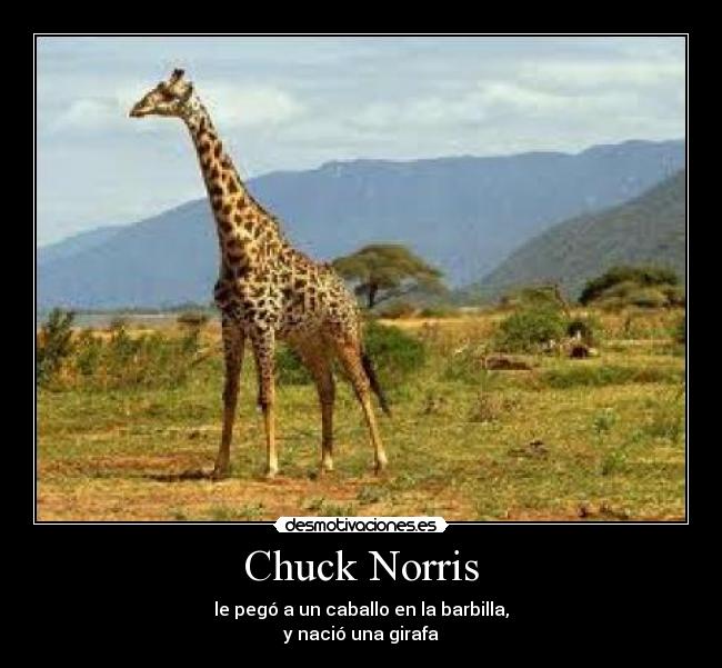 Chuck Norris -