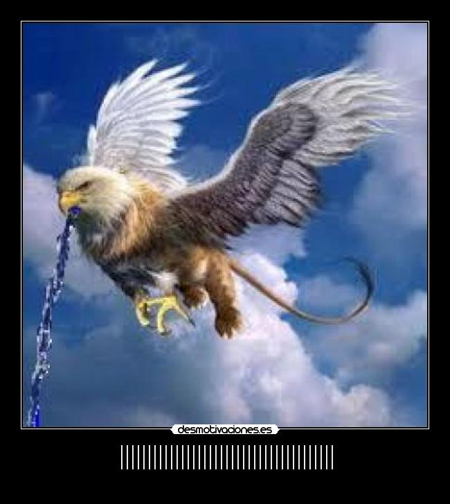 ||||||||||||||||||||||||||||||||||||||| -