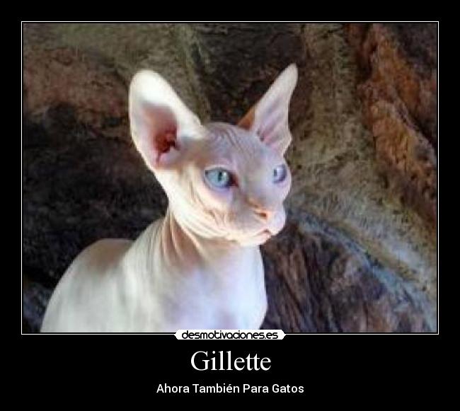 carteles gillette desmotivaciones