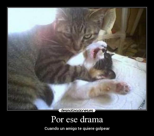 Por ese drama - Cuando un amigo te quiere golpear
