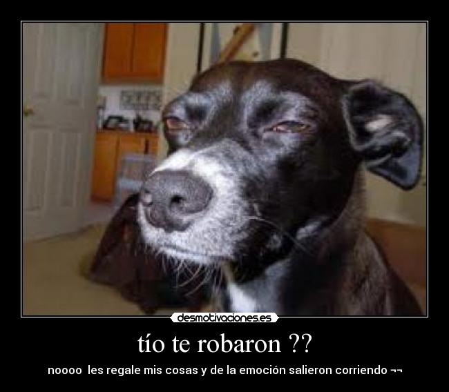 tío te robaron ?? -