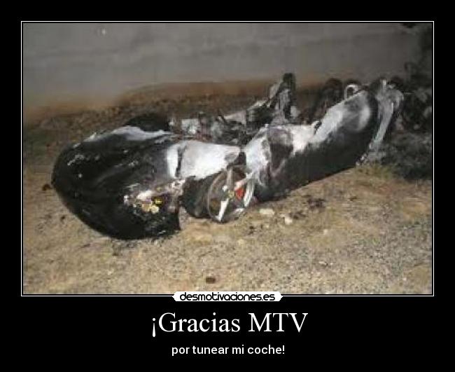 ¡Gracias MTV -