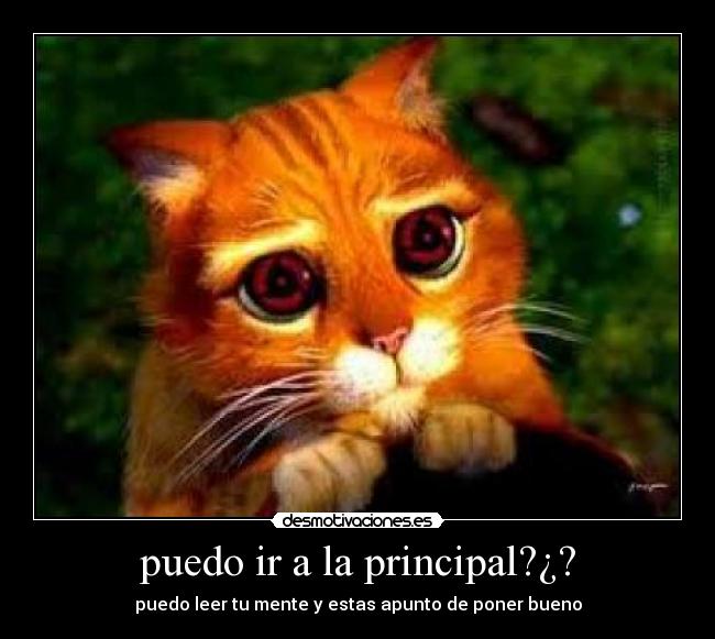 carteles gatossharingan desmotivaciones