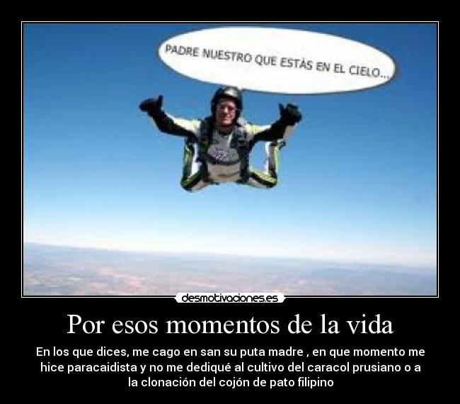 Por esos momentos de la vida - En los que dices, me cago en san su puta madre , en que momento me
hice paracaidista y no me dediqué al cultivo del caracol prusiano o a
la clonación del cojón de pato filipino