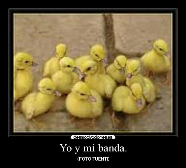 carteles miguel100one clanantifas kaf clanhoygan 0o0o0o0o0o0o0o0o0o0o0 challengeacceptedd pone burro desmotivaciones