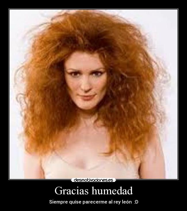 Gracias humedad - 