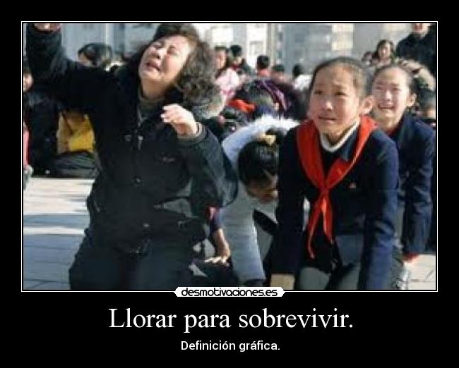 carteles llorar muerte dictador desmotivaciones