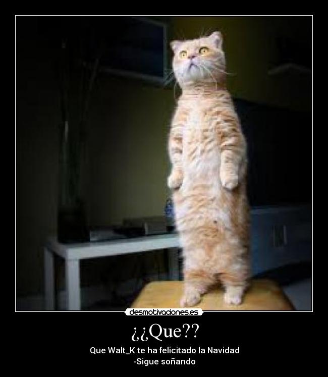 ¿¿Que?? - Que Walt_K te ha felicitado la Navidad
-Sigue soñando