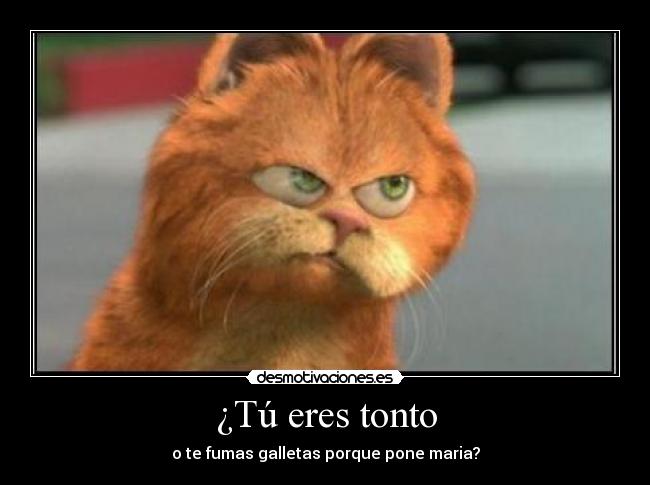 ¿Tú eres tonto -