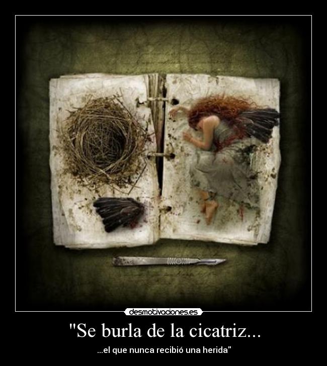 Se burla de la cicatriz... -