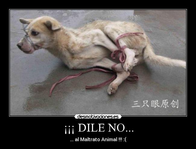 ¡¡¡ DILE NO... - 